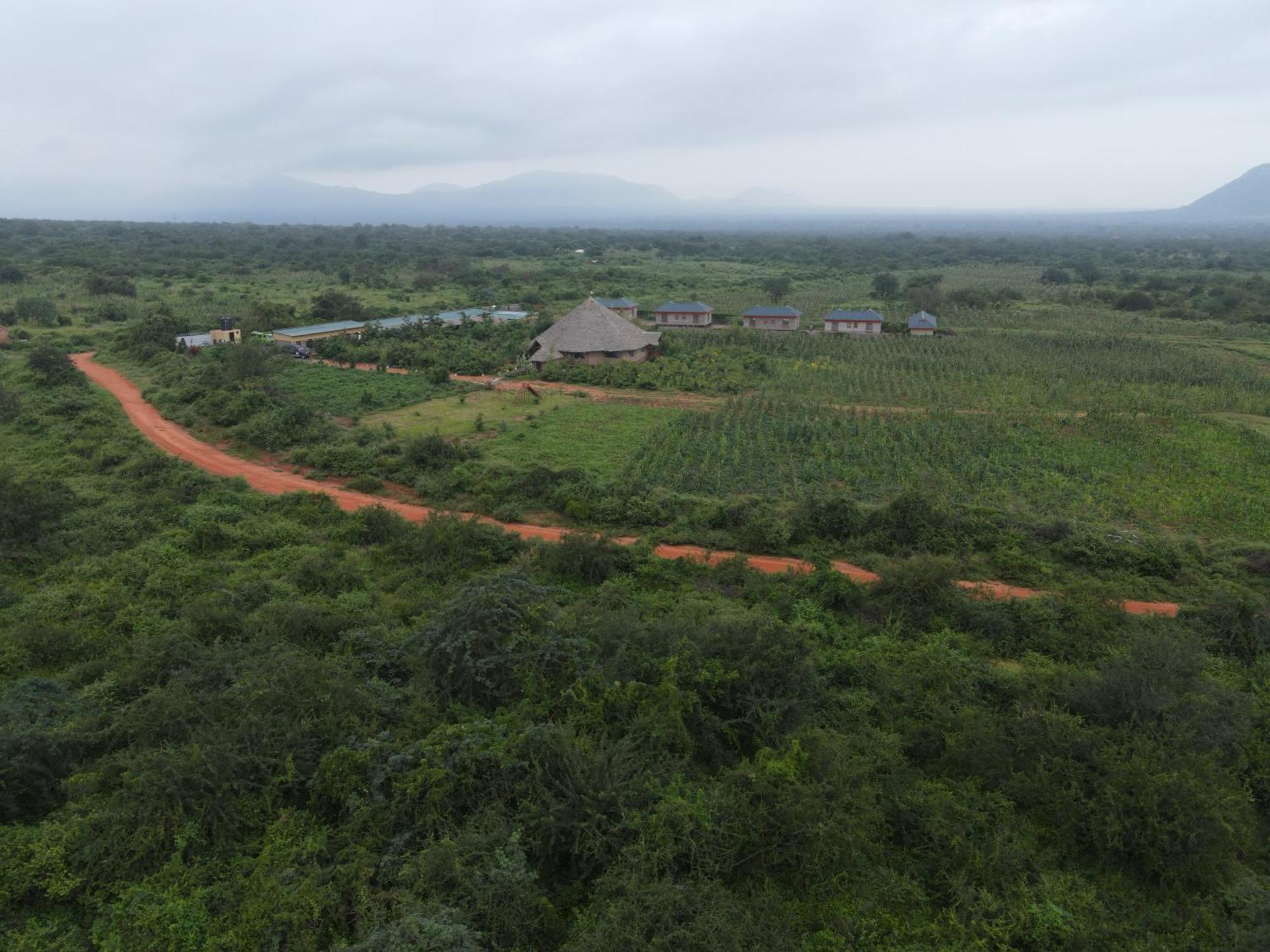 Tausa Tsavo Eco Lodge Voi المظهر الخارجي الصورة